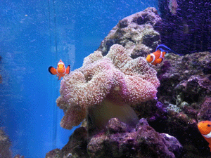 ������� ���� ��Ǯ��1