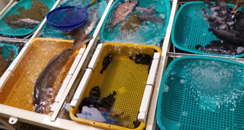 ������� ���� ��Ǯ��2