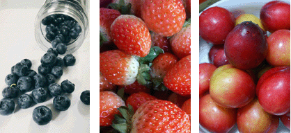 ���ϲ�  ���� ��Ǯ��