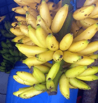 ���ϲ�  ���� ��Ǯ��2